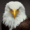 America-First Townhalls - X's profile picture