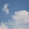 4mophy profil fotoğrafı