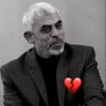 OCTOBER 7th🇵🇸💪's profile picture