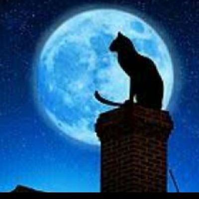 ヒロ's profile picture