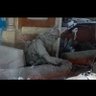 Фото профиля abu obeida🔻