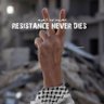 Gaza 🇵🇸 Gaza's profile picture