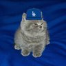 J/DODGERS BACK-2-BACK CHAMPIONS 🇵🇸's profile picture