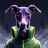 Profilbild von Follower of Enjin coin