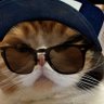 Profilbild von jmp //