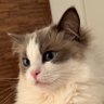 桐生 profil fotoğrafı