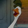 Loose Goose 的头像