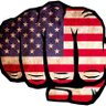 Tim Holden 🇺🇸's profile picture