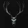 Фото профиля The Raven of Wall Street BIP-110