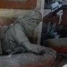 محمد الأمين🔻's profile picture