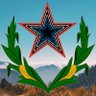 Roanoke ⭐️ Marxist's profile picture