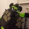 RennbennRS AD's profile picture