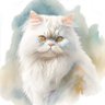 Profilbild von jettie