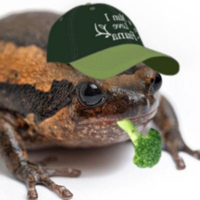 SeptetteS's profile picture