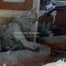 زكي المصري's profile picture