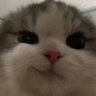 Profilbild von ,y,s