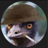 Marcelo Tutto's profile picture