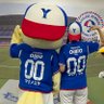 さきのすけ⚓️🇫🇷🌟🛳's profile picture