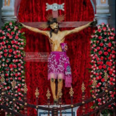 TellecheaRuiz's profile picture