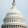 Legislative Dance profil fotoğrafı