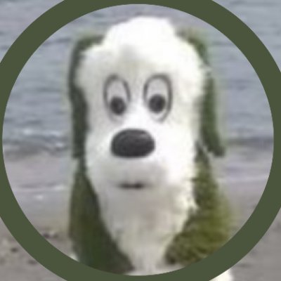だし巻き's profile picture