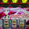 コタ profil fotoğrafı