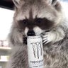 NeoΛnthony's profile picture