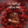 Фото профиля عثمان مجاهد