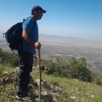 tanselkaracali's profile picture