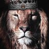 Фото профиля Edgardo Joaquín