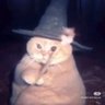 bobabunni profil fotoğrafı