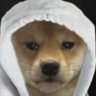 season's profile picture