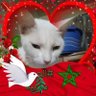 Hafid Hafid's profile picture