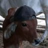 Profilbild von J M
