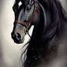 AhmD Moab 的头像
