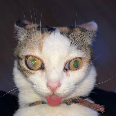 Jason Thor's profile picture