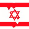 DISSOLVEISRAEL 🇵🇸🇨🇩🇸🇩🇭🇹 的头像