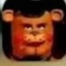 Profilbild von shane