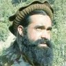 محمداکبرفقیریار 的头像