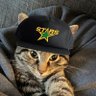 Фото профиля Millie