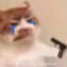 Profilbild von over_edit