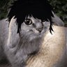 Profilbild von olivbreslau