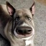 Фото профиля Chunko