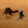 Al-khidr 🔆 profil fotoğrafı