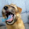 kyo--- profil fotoğrafı