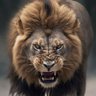 Türk Oğlutürk profil fotoğrafı