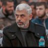 أحمد شراب 🇵🇸's profile picture