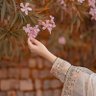 🦋PTI🦋سونی خان🐐 的头像