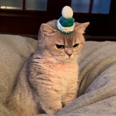 abcdefgh _ iluvu's profile picture