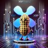 XRPeanut's profile picture